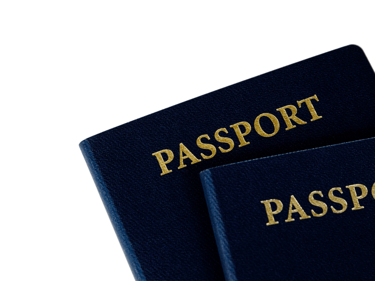 International Passport Cover, Blank, Blue, Business PNG